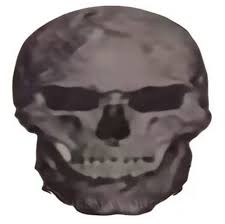 1787891786175