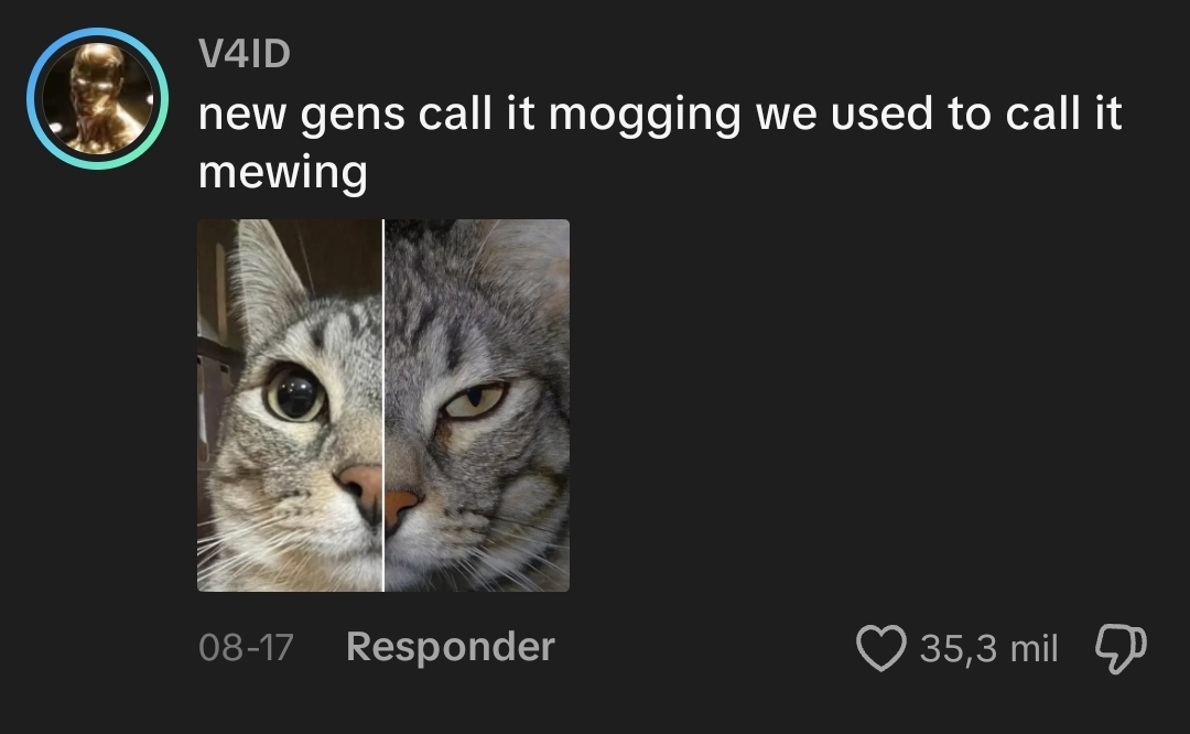 1000056847