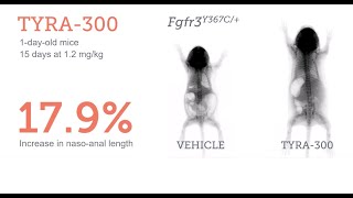 IMG 9600