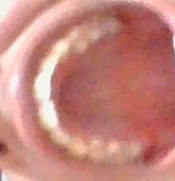1787939520055