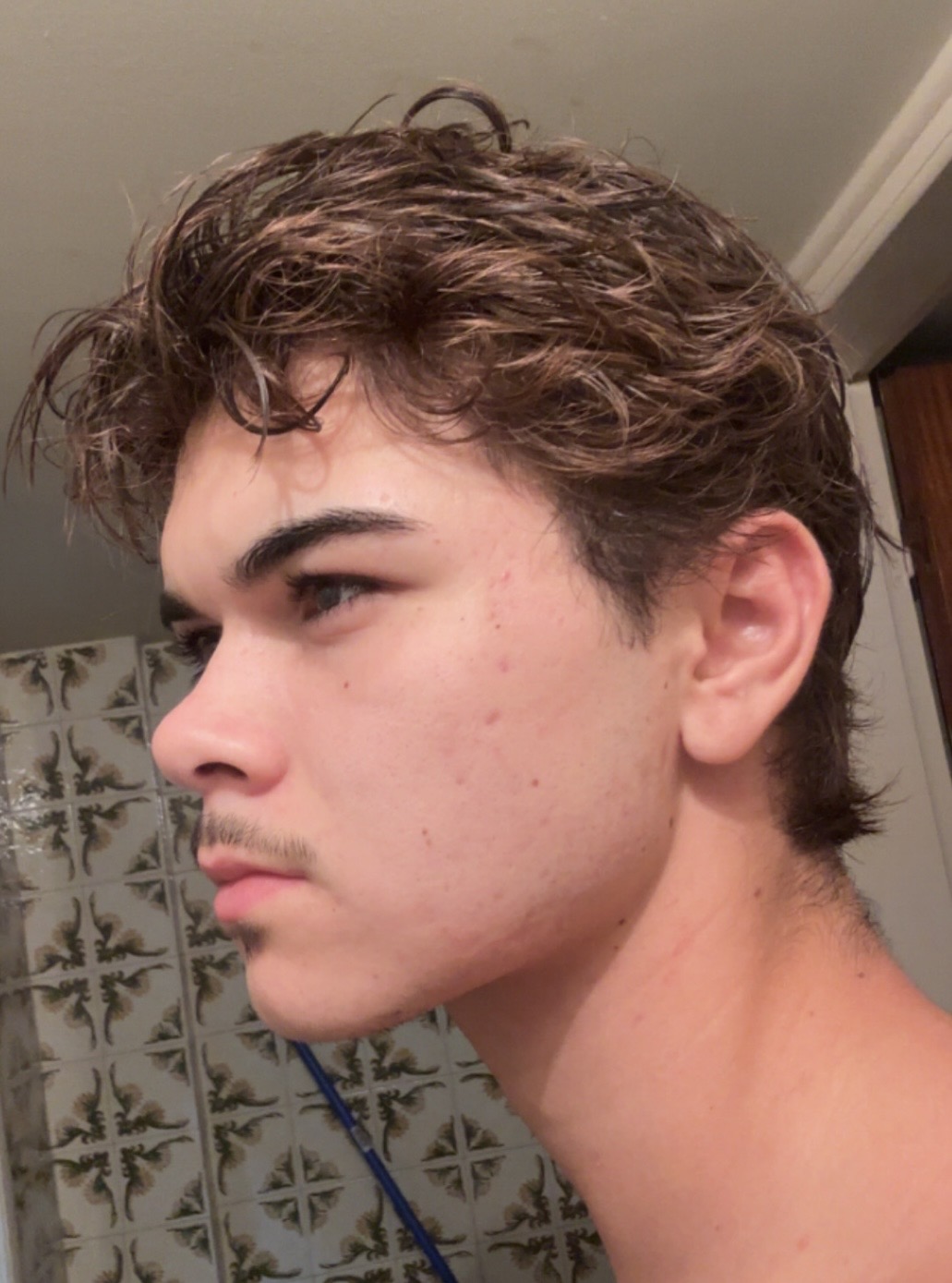 IMG 2117