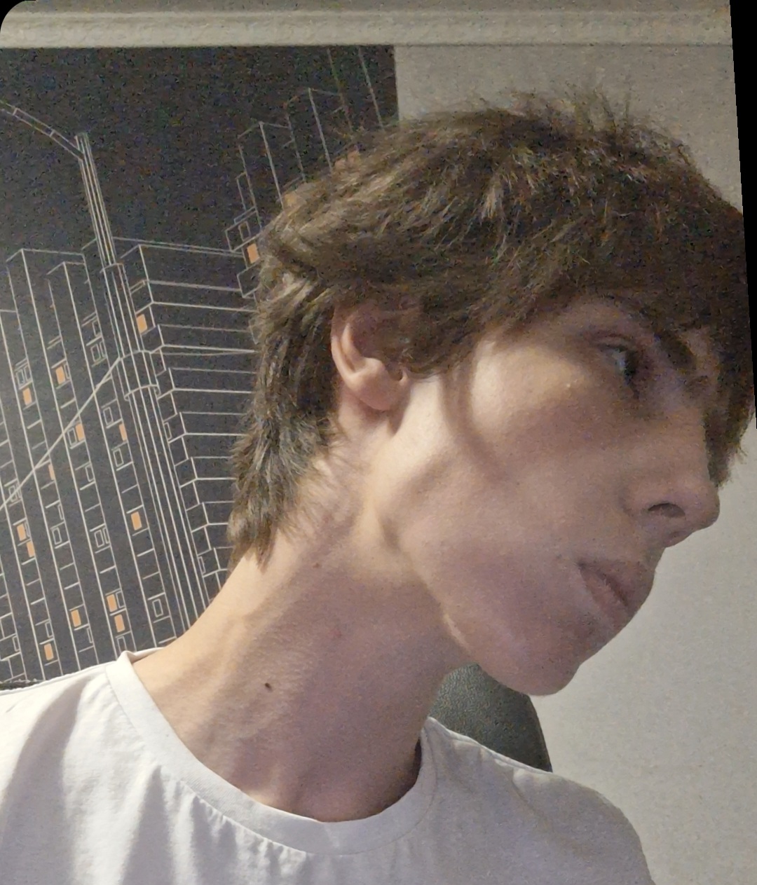 1000070107