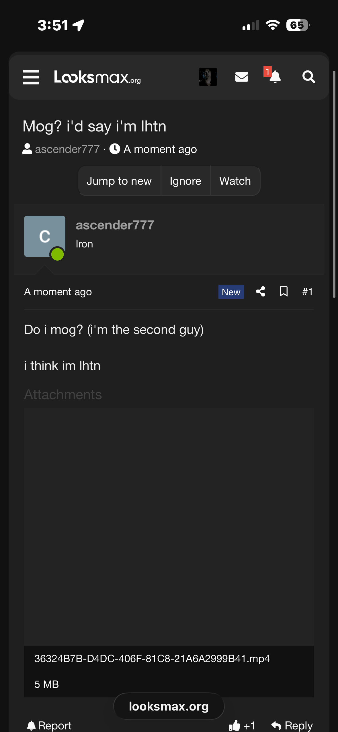 IMG 1340