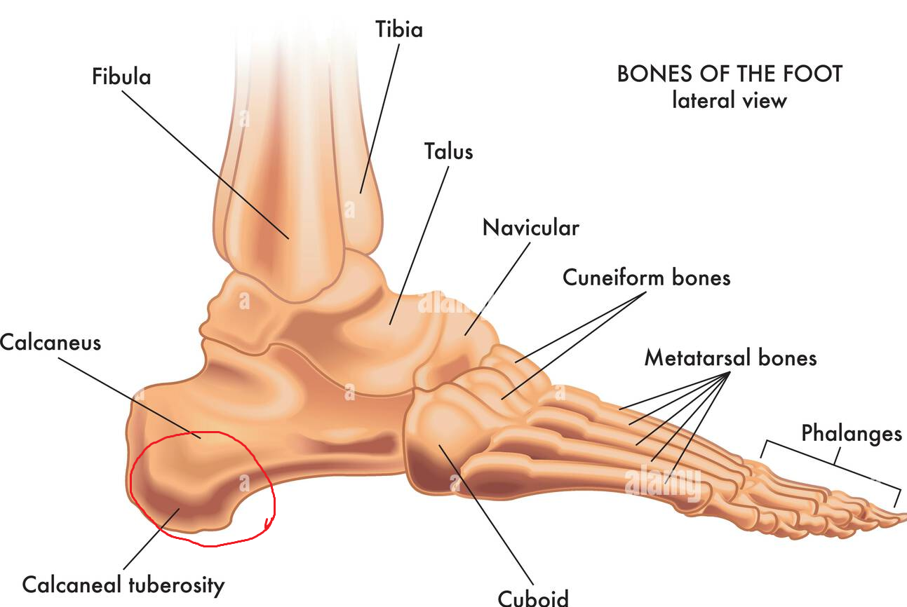 1788056091830