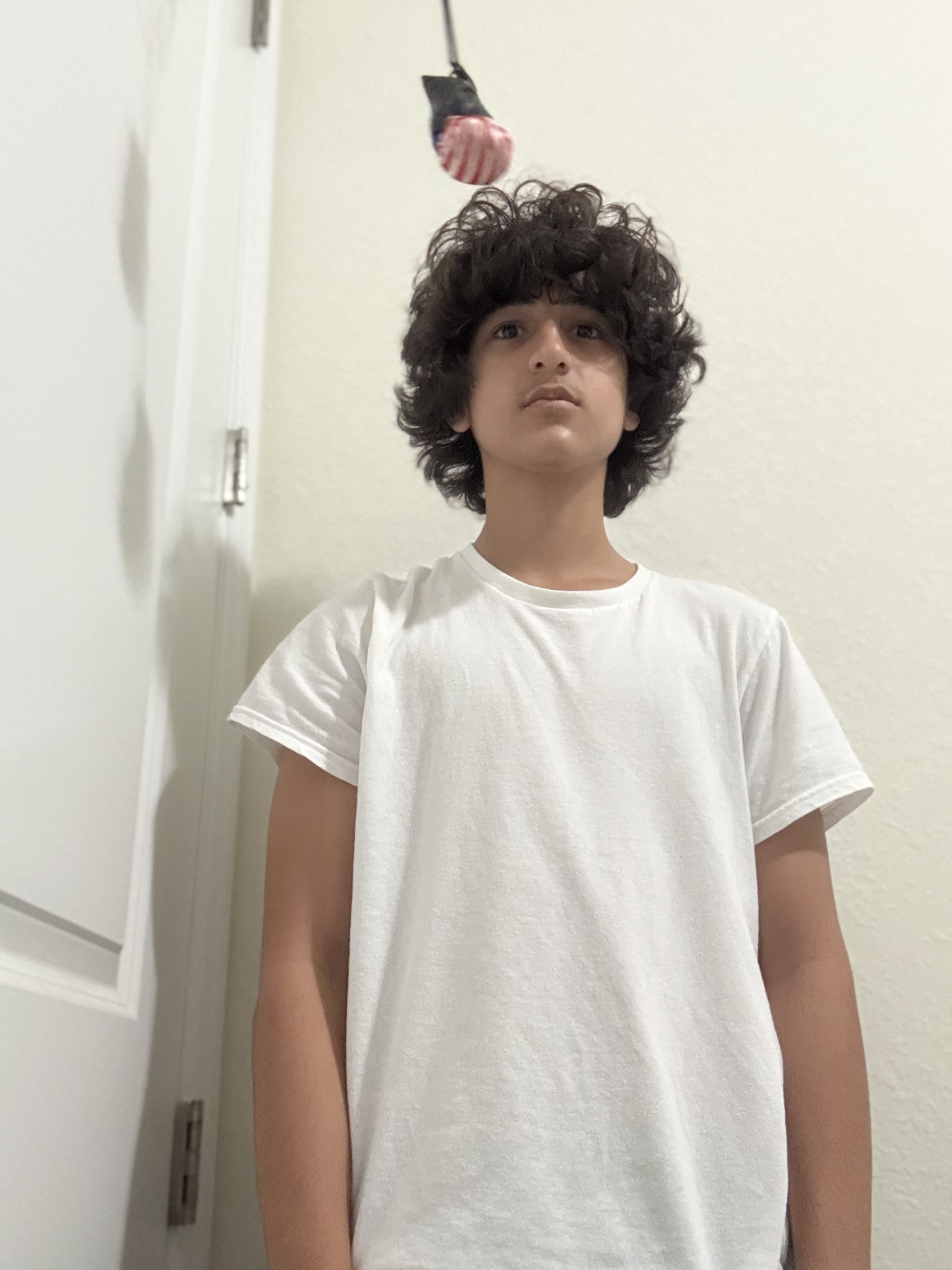 IMG 1931