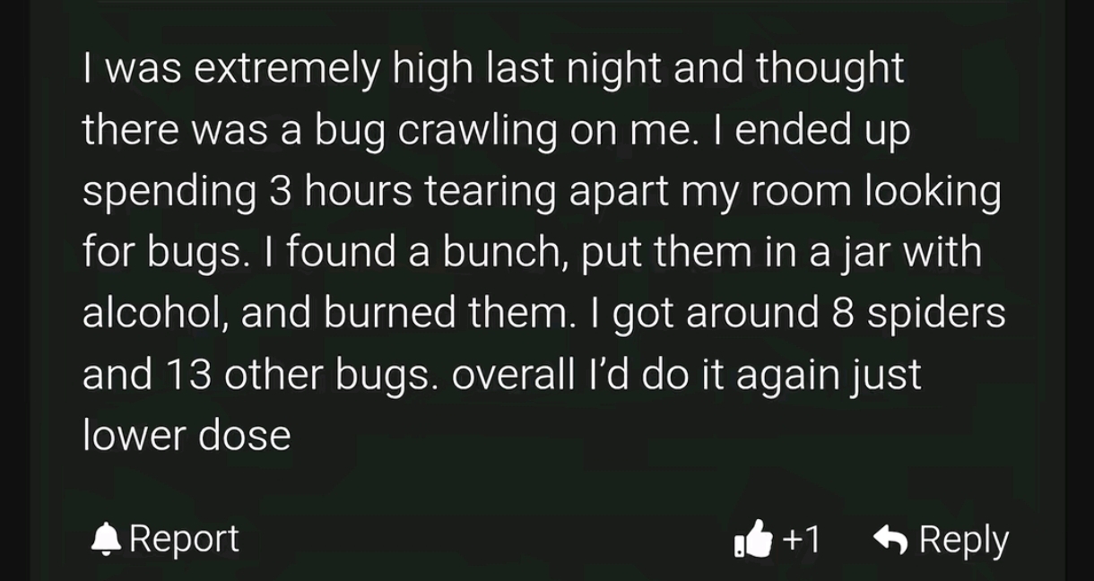 64323