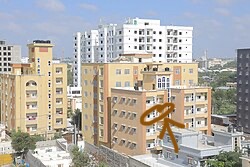 IMG 4284