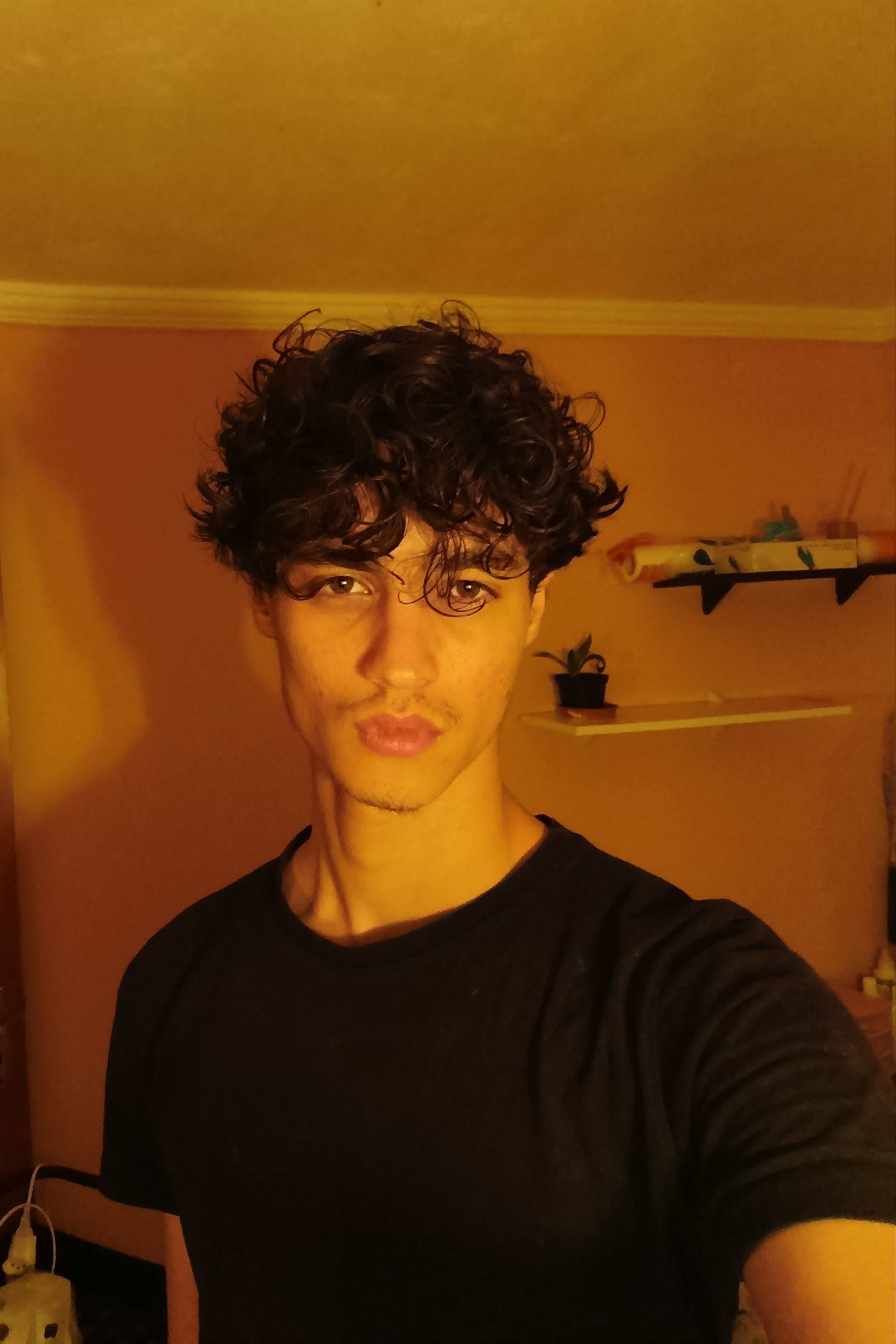 1000290065