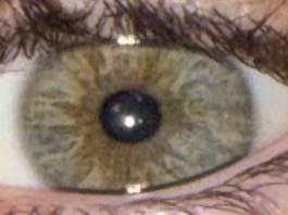 Close up