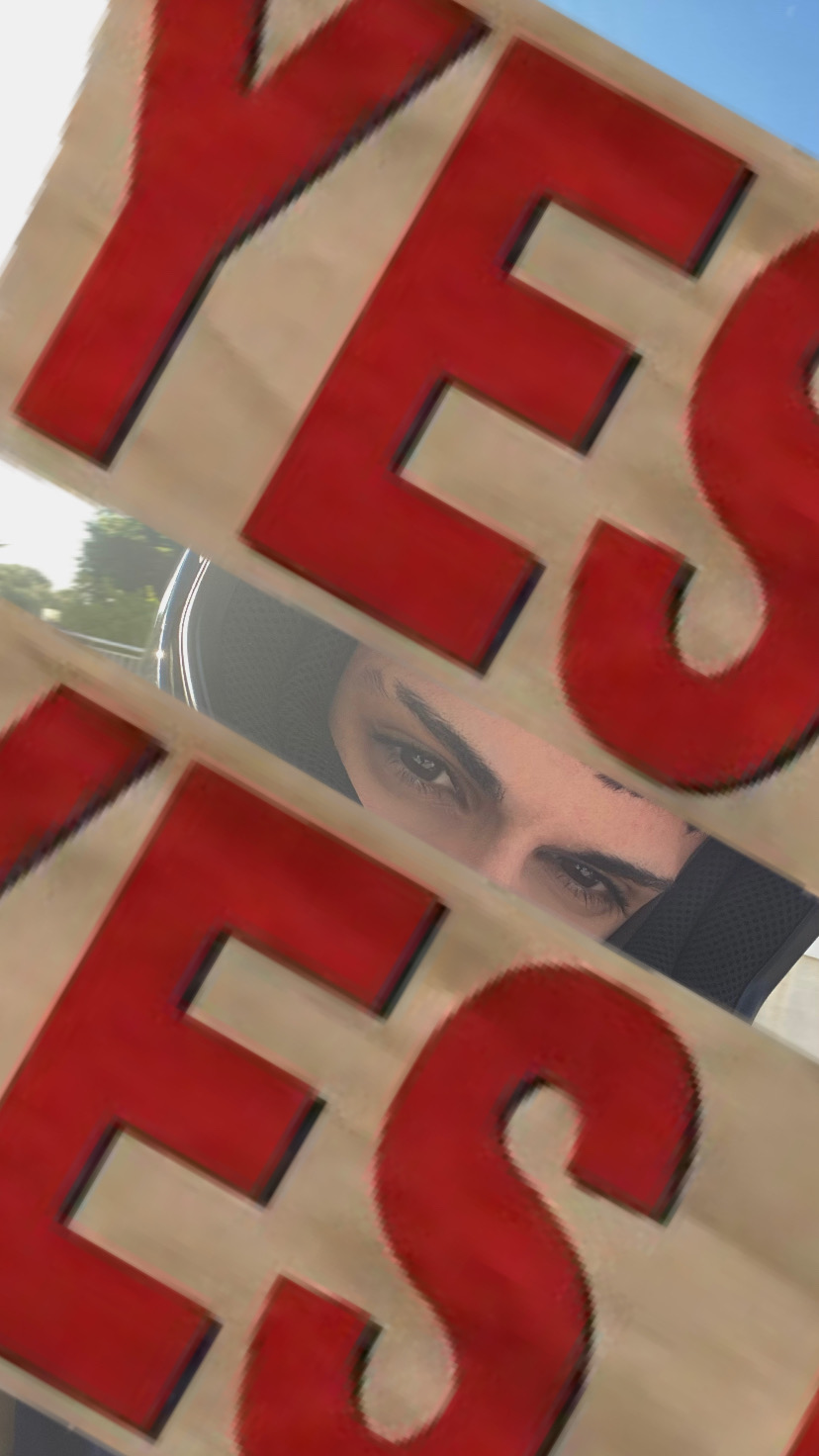 31B23232 545C 42E6 BF3D A7C74D0666B0