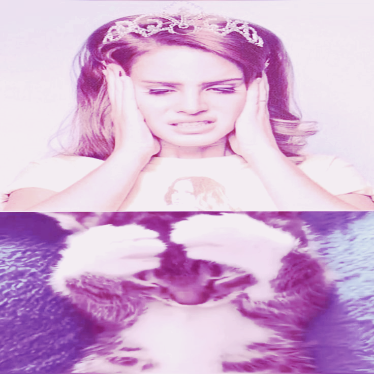 Lana kitty 3