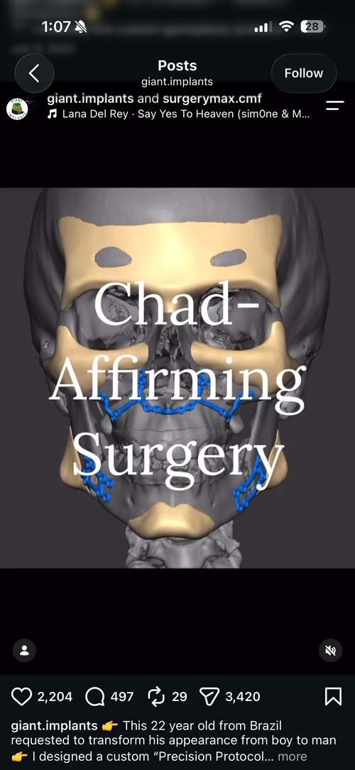 IMG_3838.PNG