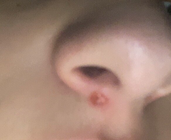 IMG_3792.jpeg