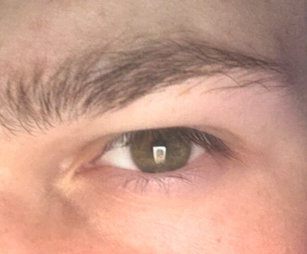 4237.jpg