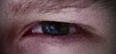 IMG_2829.jpeg