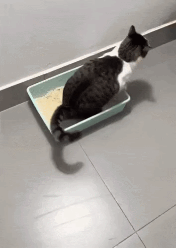 ezgif-3f34a6c050af5b46.gif
