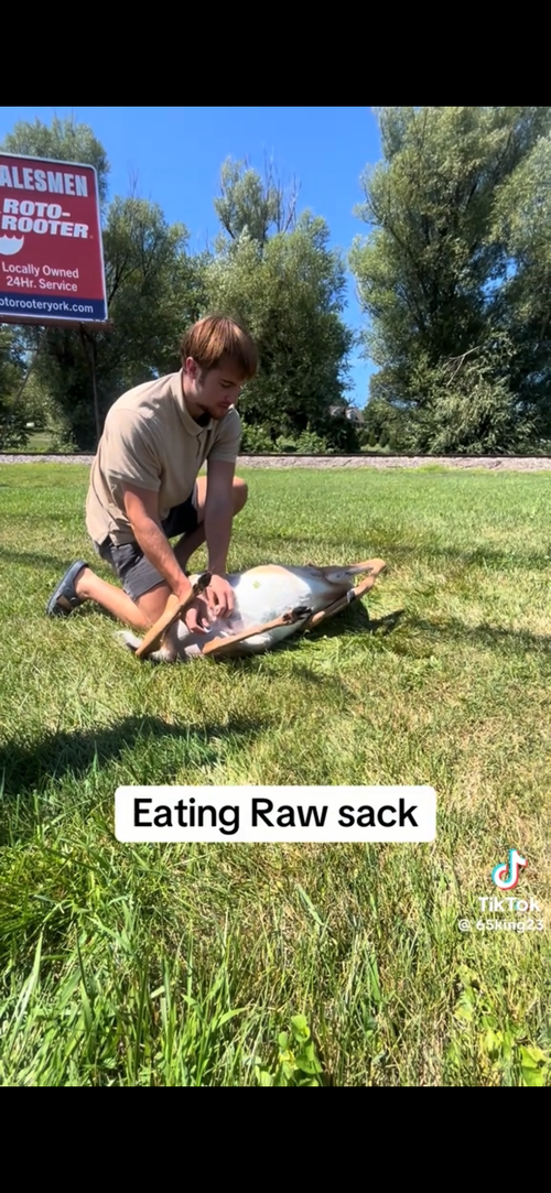 IMG_3651.png