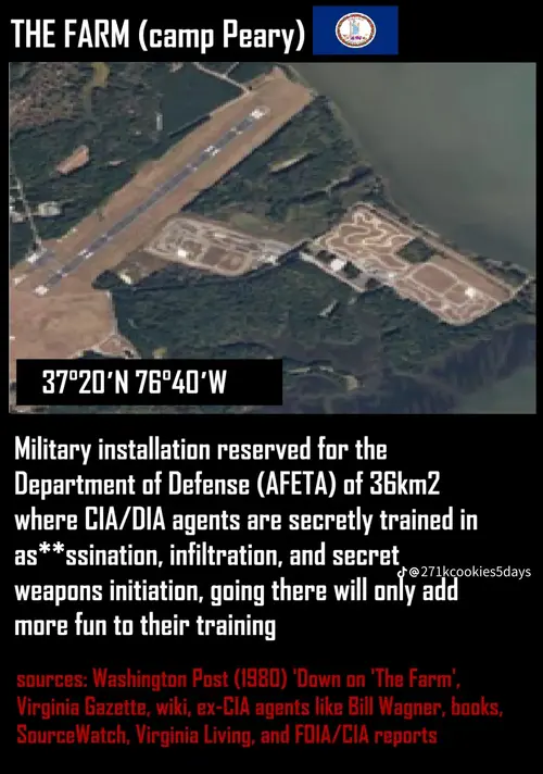 temp_image_4A0D1F66-D826-4EE9-9464-A3EFA5211816.webp