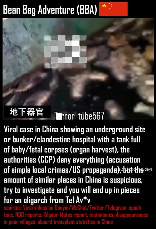 temp_image_0AF5DD40-2A06-4F94-8CDC-4567EEB5026D.webp