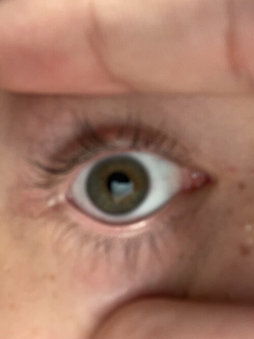 IMG_0377.jpeg