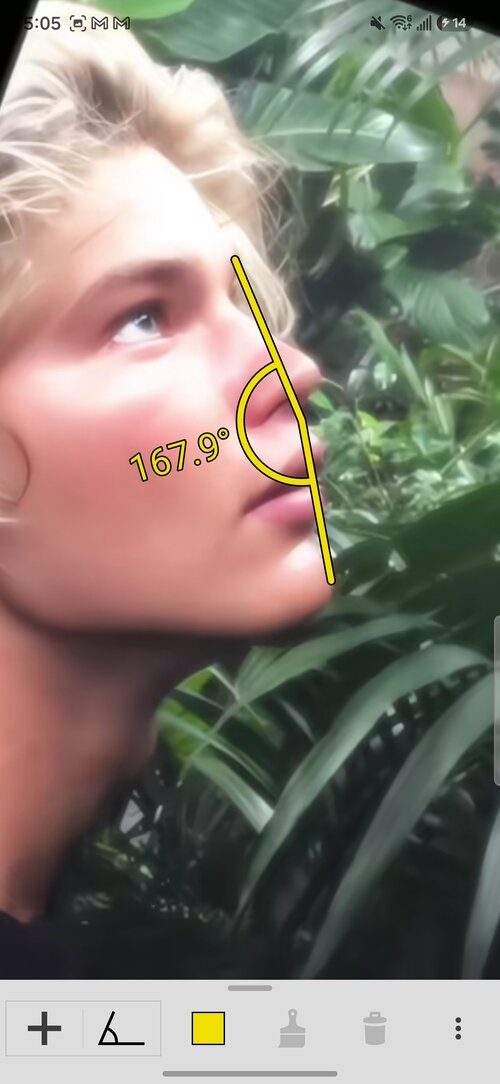 Screenshot_20260805_170526_ImageMeter.jpg