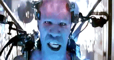 image (5).gif