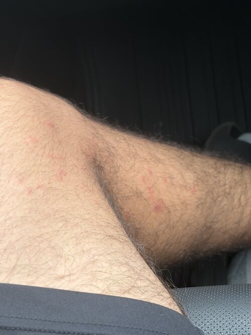IMG 0823