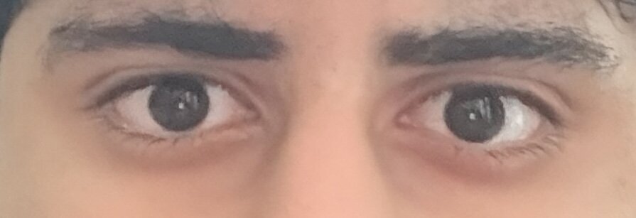 IMG_2929.jpeg