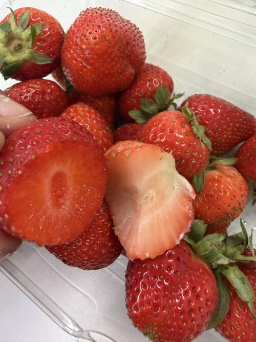 IMG_0116.jpeg