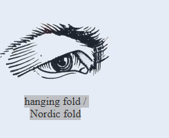 1786063284295.png