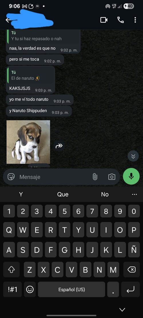 Screenshot_20260805_210639_WhatsApp.jpg