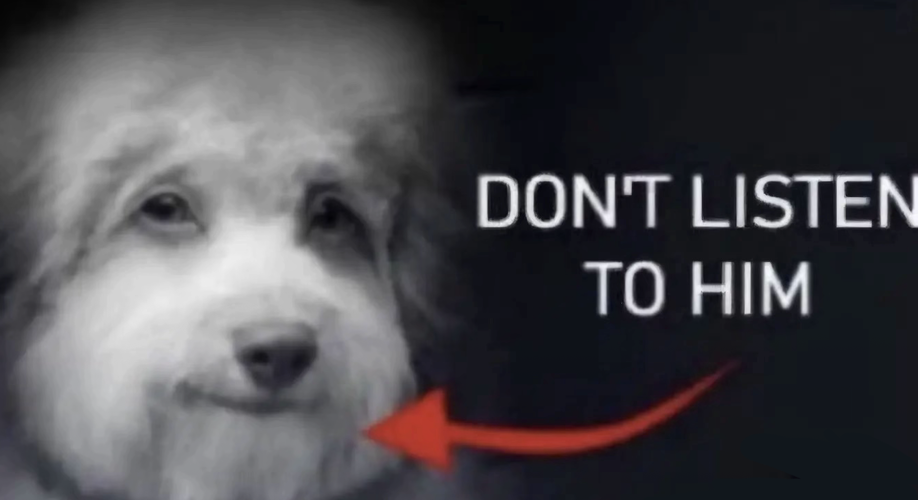 Dont listen to him