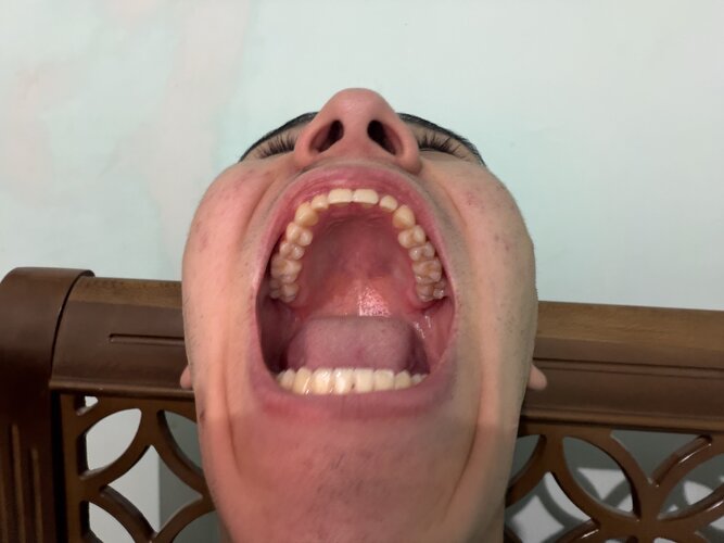 IMG_4547.jpeg