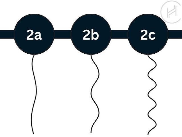 hair reference.jpg