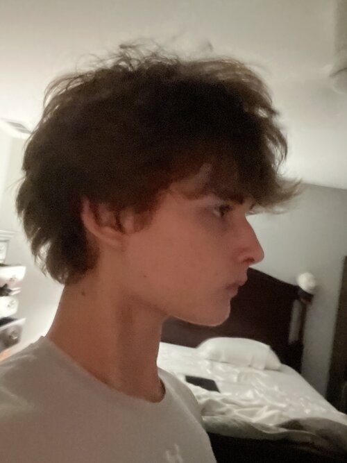 1786165986695.jpeg