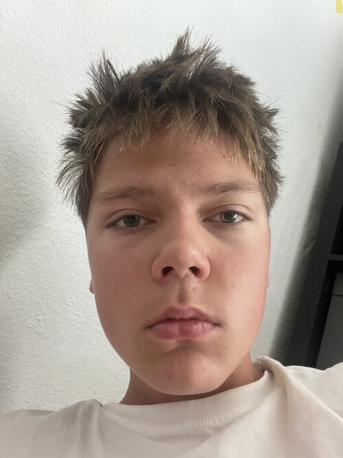 image.jpg