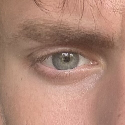 IMG_3865.jpeg
