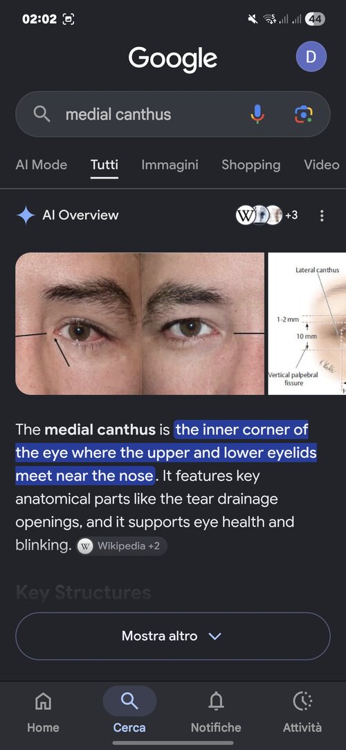 Screenshot 20260809 020251 Google