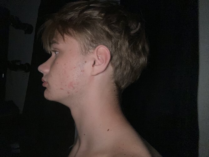 image.jpg
