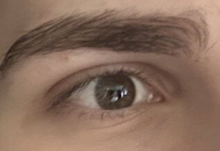 IMG_3255.jpeg