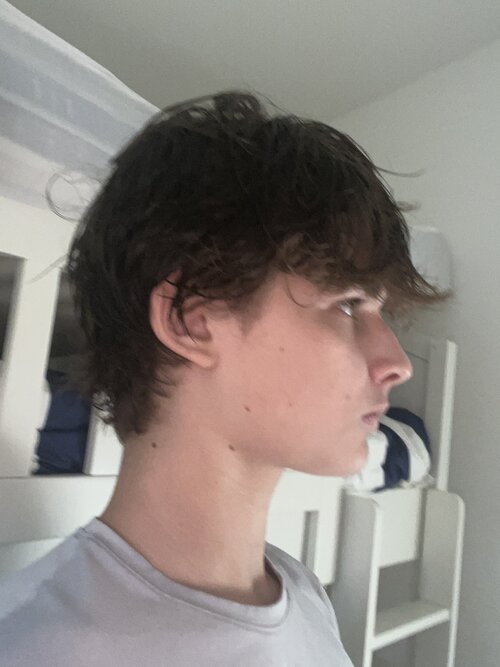 1786315371513.jpeg