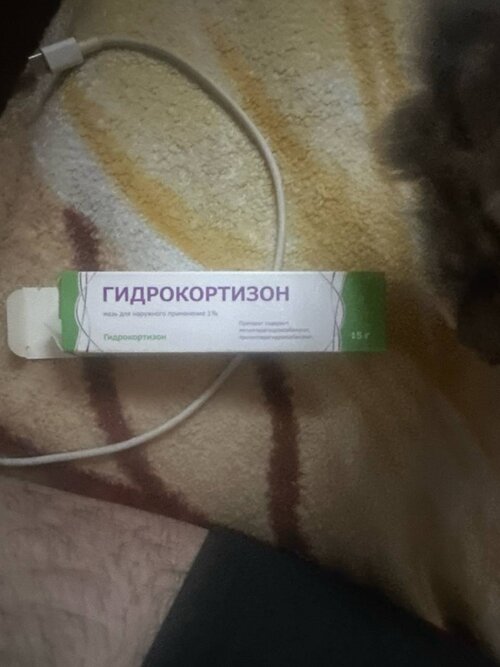 IMG_1405.jpeg