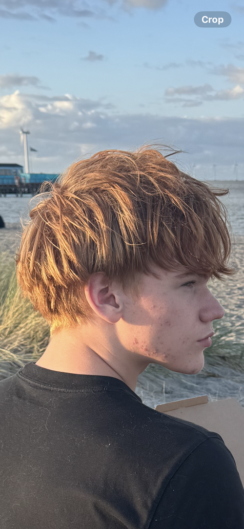 IMG_3322.PNG