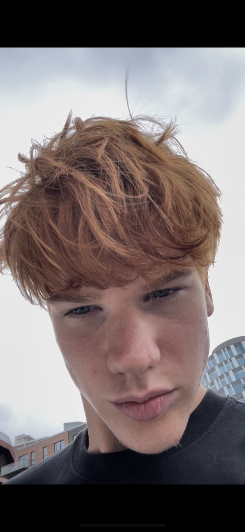 IMG_3324.PNG