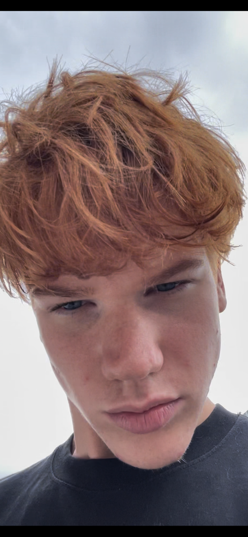IMG_3328.PNG