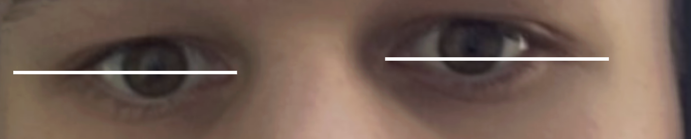 Screenshot 2026-08-11 at 1.54.26 AM.png
