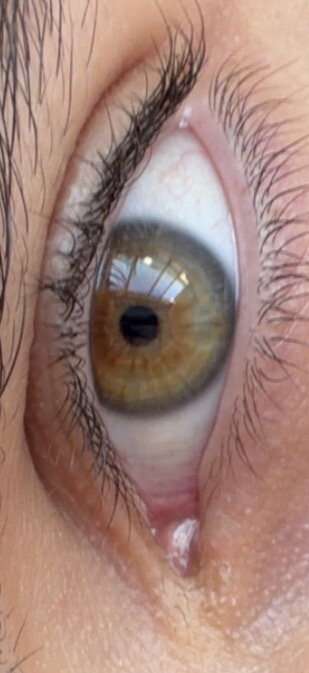 IMG_6793.jpeg