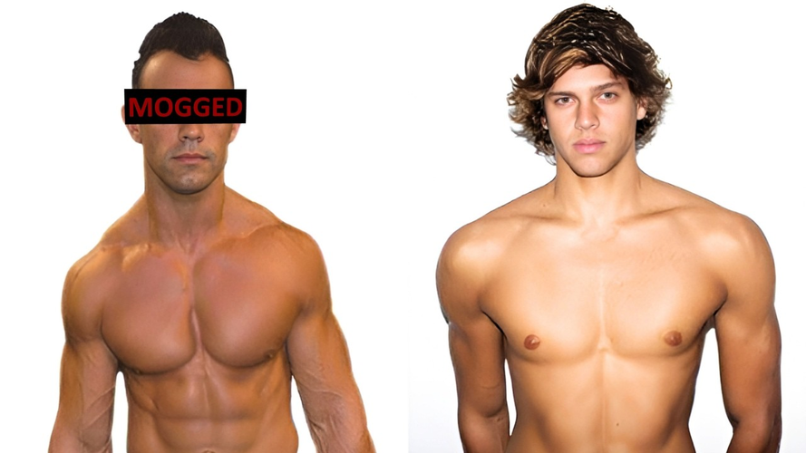 download (1).png