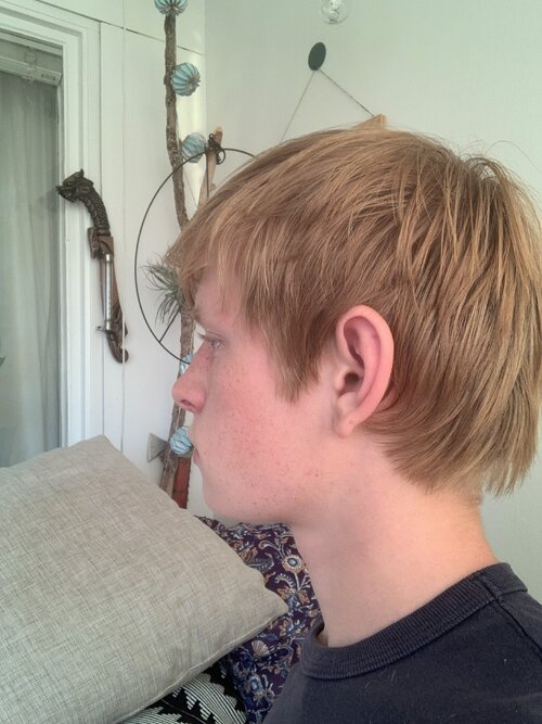 IMG_1181.jpeg