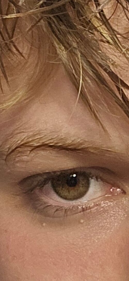Screenshot_20260809_130620_Gallery.jpg